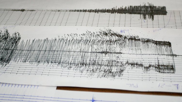 Снимка: архив, БГНЕС