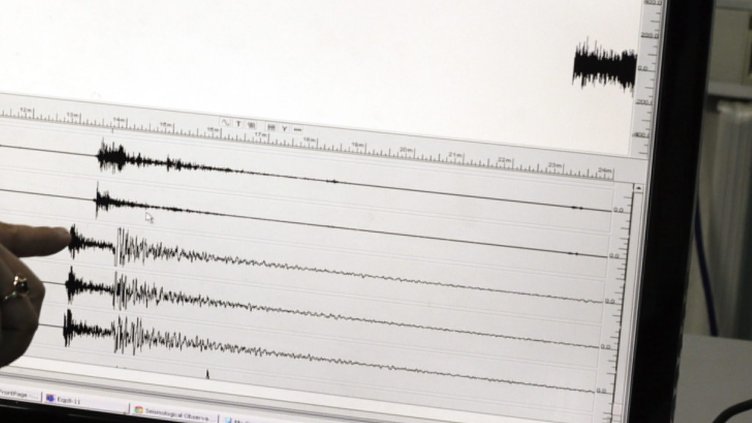 Снимка: архив, БГНЕС