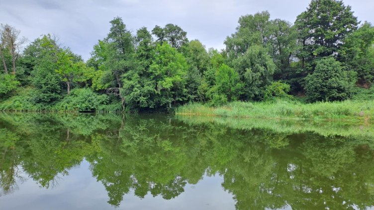 Снимка: архив, БГНЕС