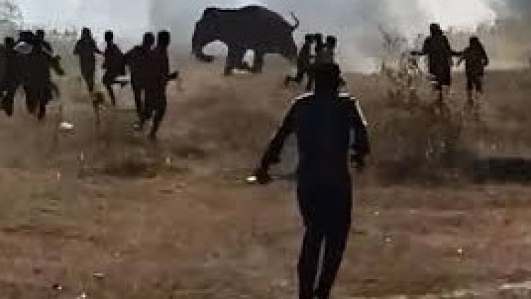 Снимка БГНЕС