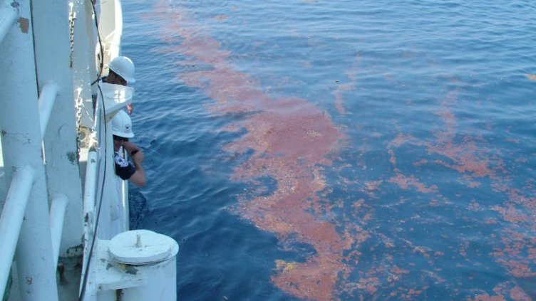 Снимка БГНЕС