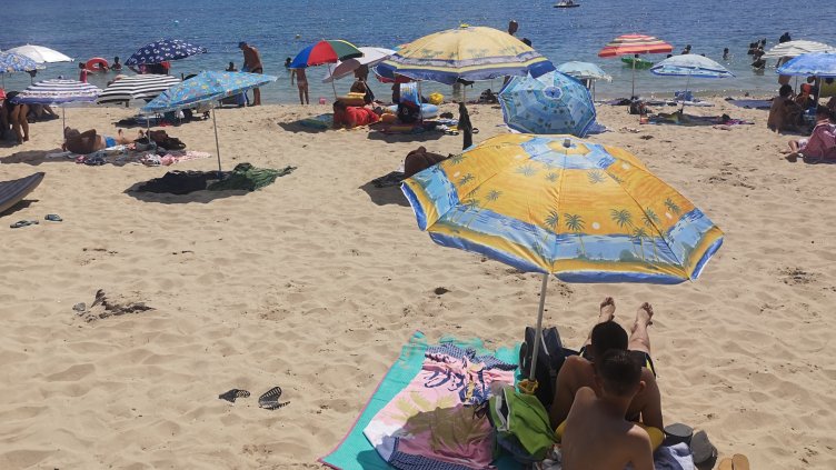 Снимка: архив, БГНЕС