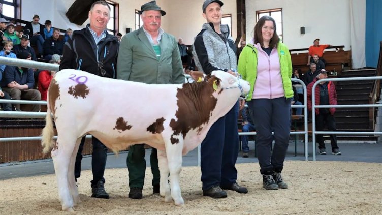 Снимка: Weilheim Breeding Associations eV