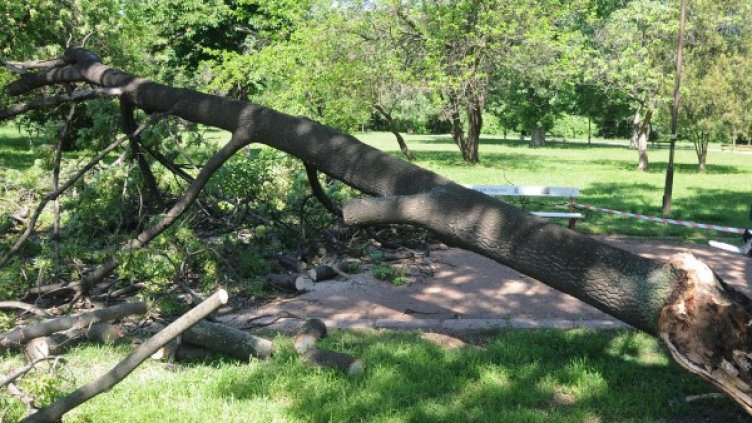 Снимка: Булфото, архив