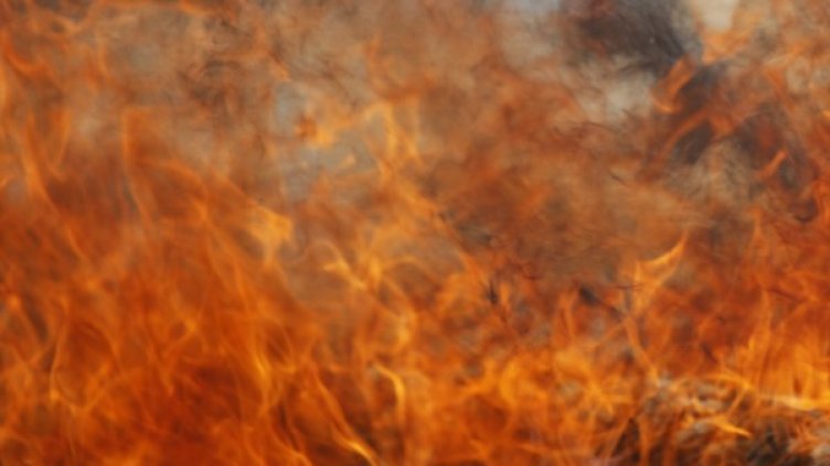 Снимка: Reuters, архив