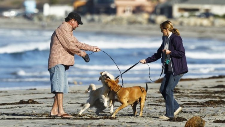 Снимка: архив Reuters