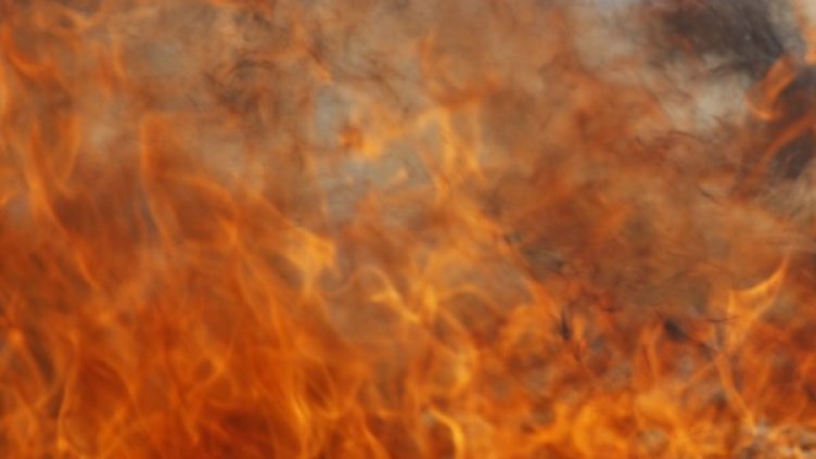 Снимка: Reuters, архив