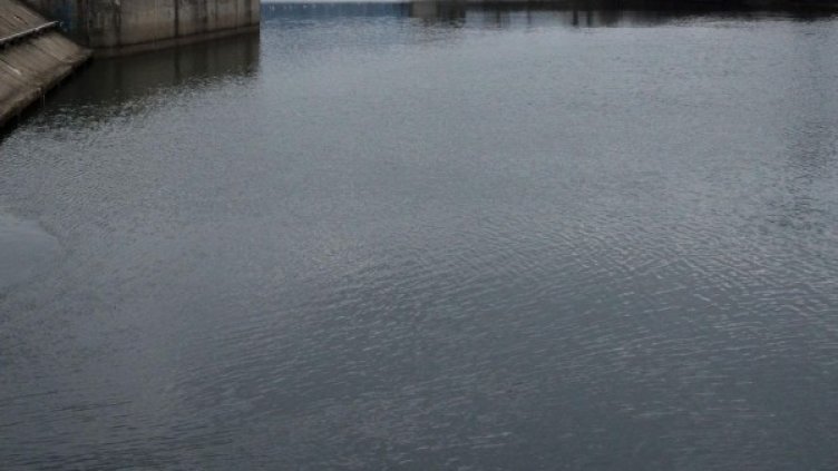 Снимка: Булфото, архив