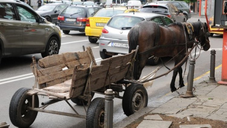 Снимка: архив, Bulphoto