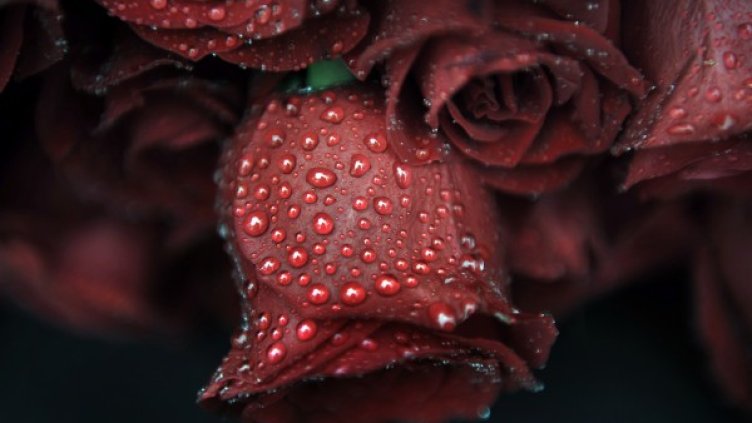 Снимка: архив, Reuters