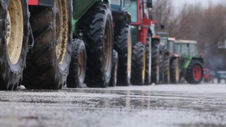 Снимка: архив, Булфото