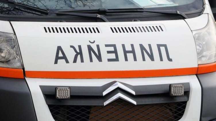 Архив: Булфото