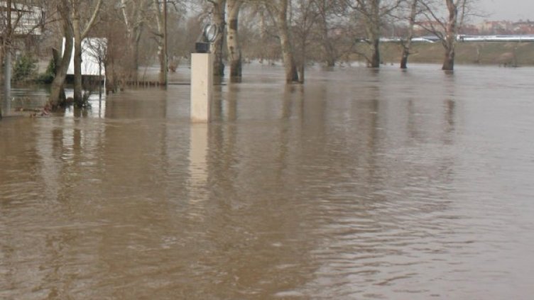 Снимка: Булфото