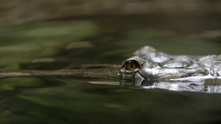 Снимка: архив, Ройтерс