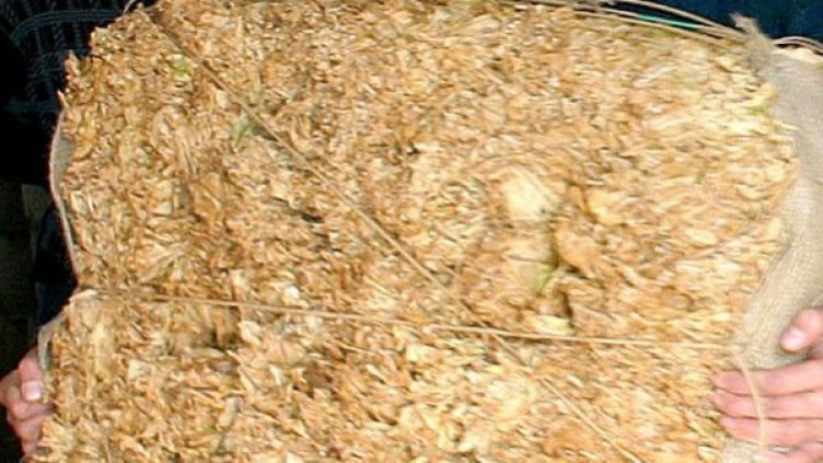 Снимка: Булфото, архив