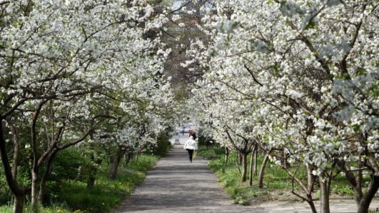 Снимка: архив, Bulphoto
