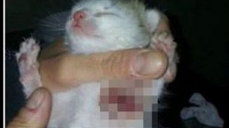 Снимка: Facebook