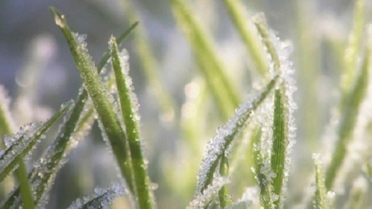 Снимка: flickr