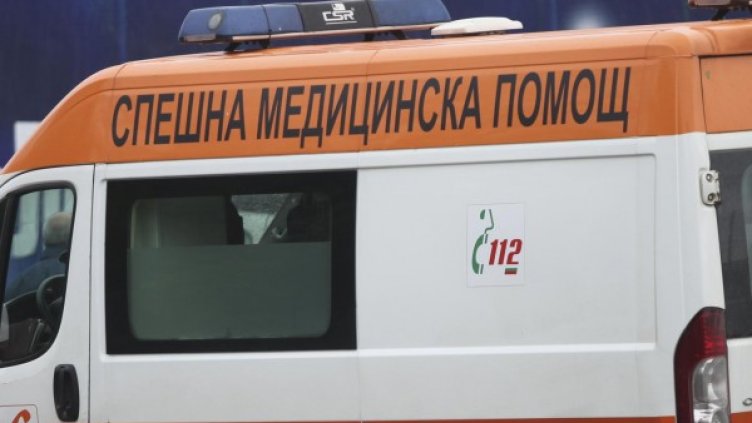 Снимка: Архив Булфото