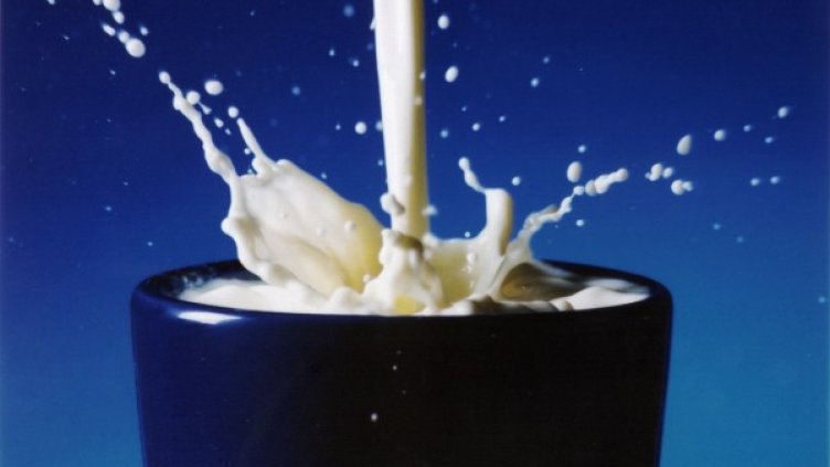 Снимка: freeimages