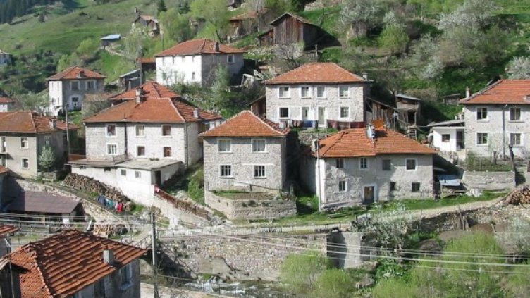 Архив: Булфото