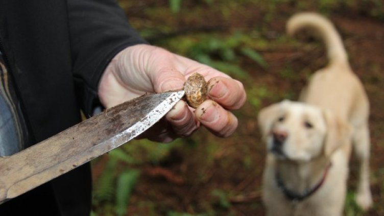 Снимка: flickr