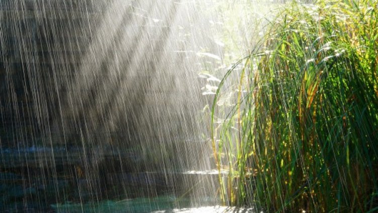 Снимка: flickr