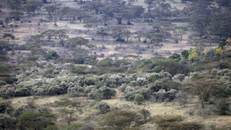 Снимка: архив, Reuters