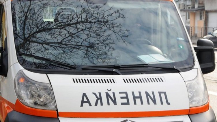 Снимка: Архив Bulphoto