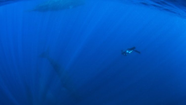 Снимка: архив, Reuters