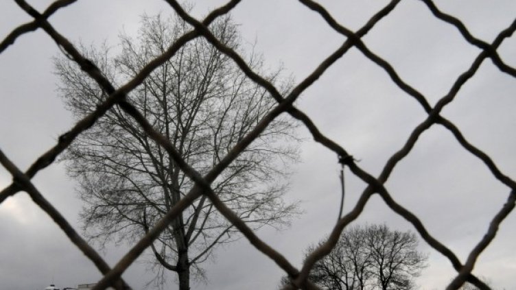 Снимка: архив Булфото