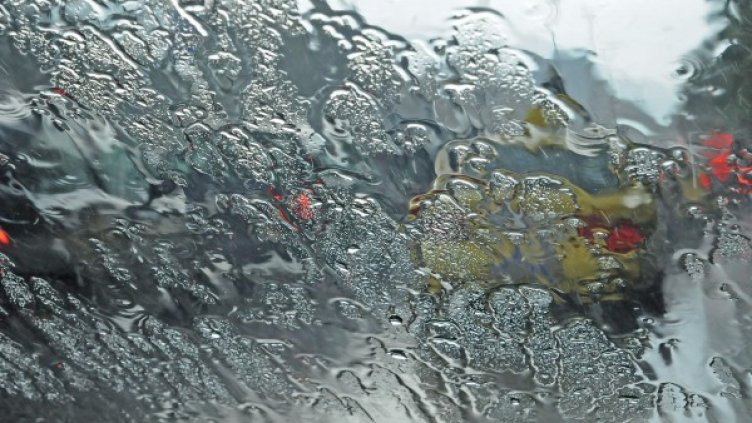 Снимка: архив, БулФото