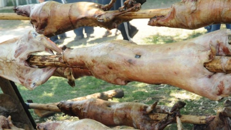 Архив: Булфото