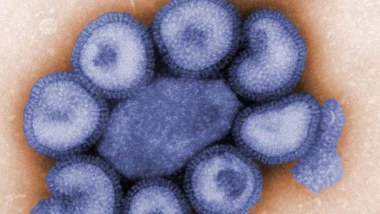 Снимка: архив, Reuters