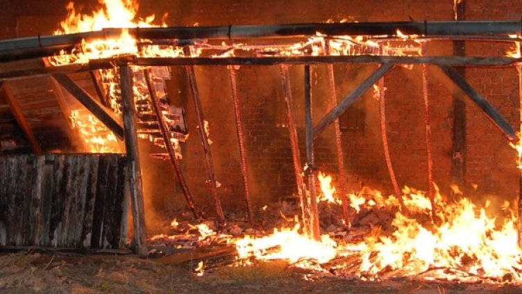 Снимка: Архив Булфото