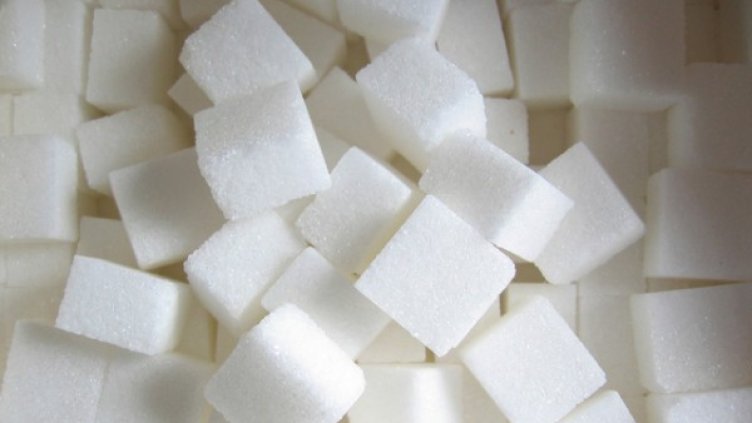 Снимка: freeimages