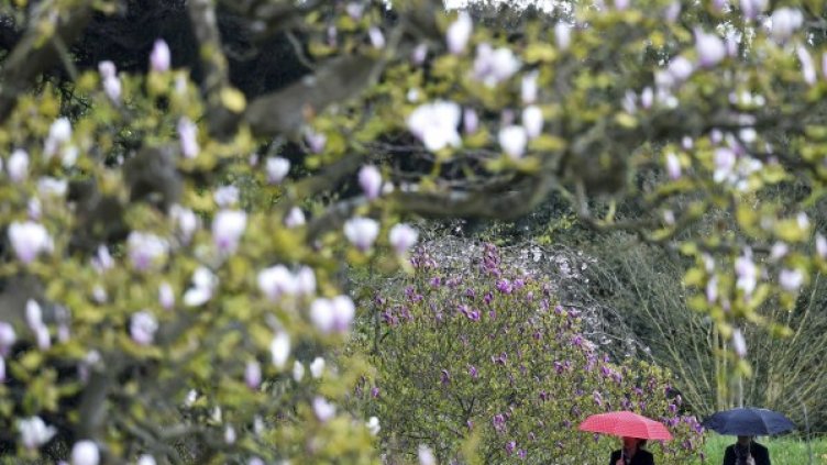 Снимка: Reuters, архив