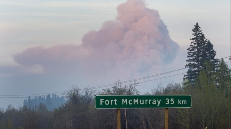 Снимка : БТА