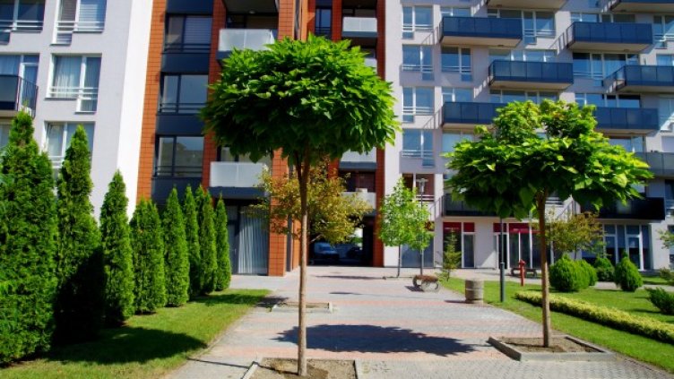 Снимка: Галакси Инвестмънт Груп