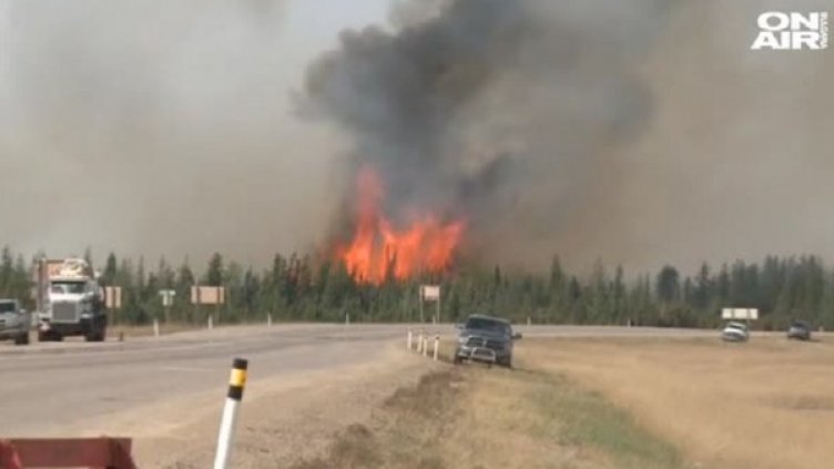 Снимка: bgonair.bg