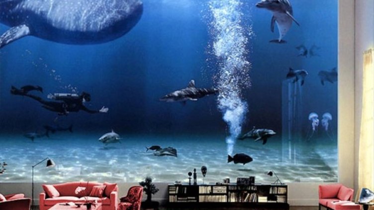 Плуват делфини и акули, но аквариумът е дигитален. Снимка: myfirstclasslife.com