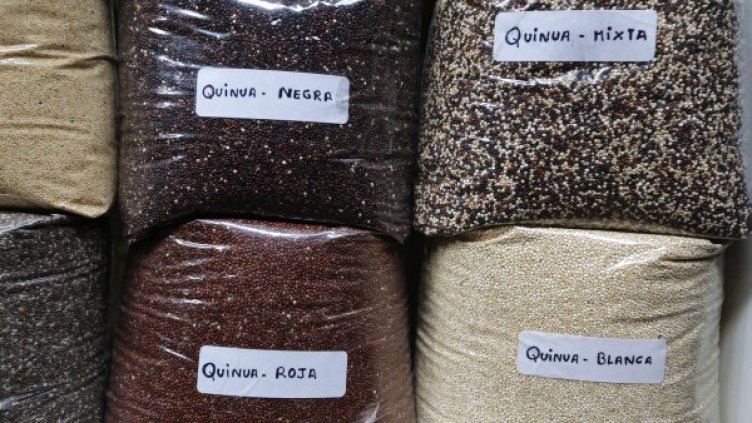 Снимка: Reuters, архив