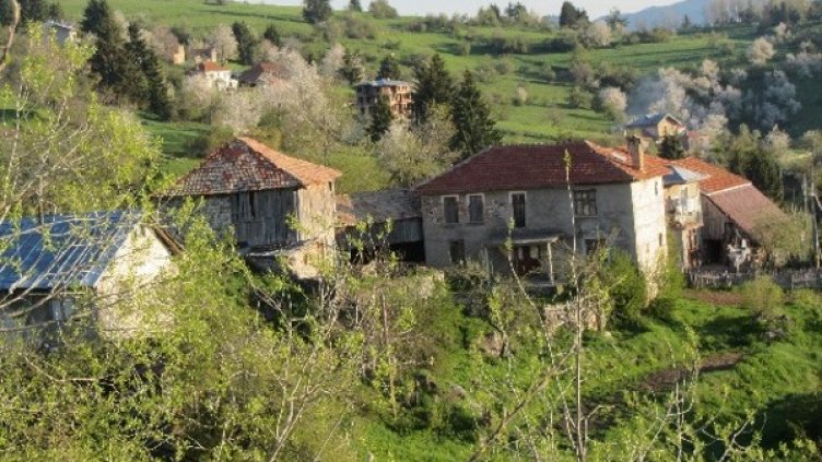 Снимка: Ellis Shuman