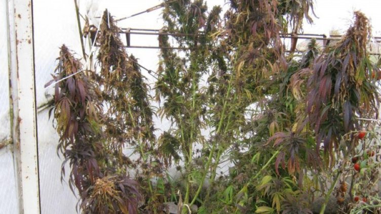 Снимка: Булфото