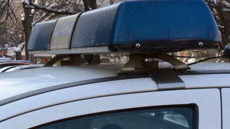 Снимка: Архив Bulphoto