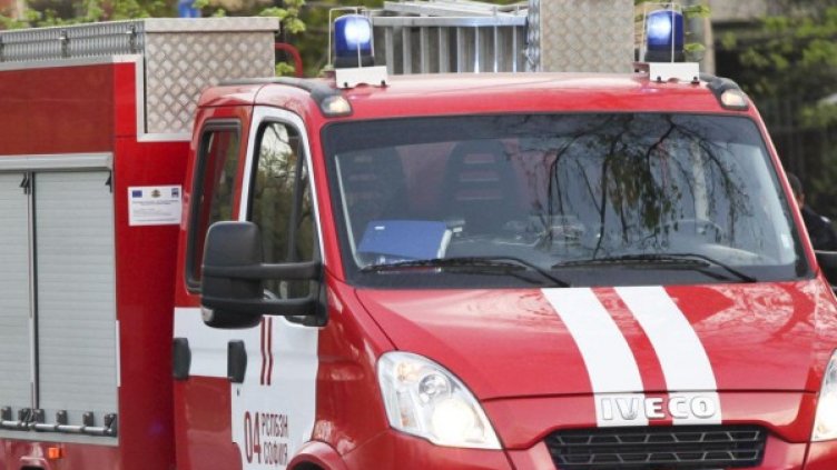 Снимка: Архив Bulphoto