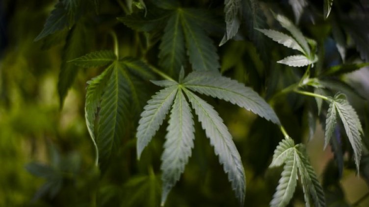 Снимка: Ройтерс, архив