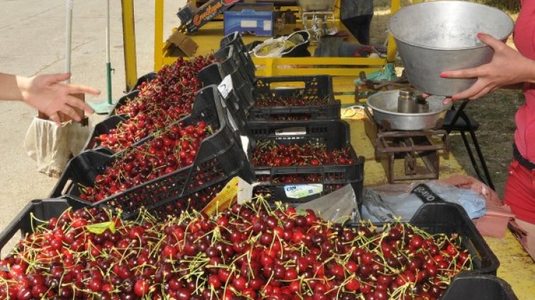 Снимка: Булфото, архив