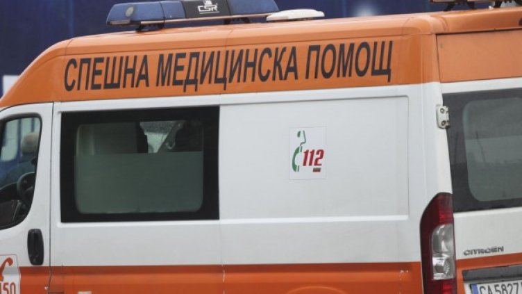 Снимка: Архив Булфото