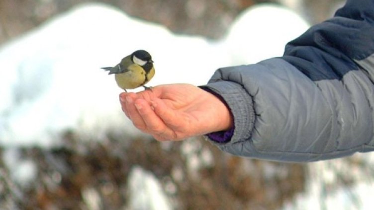 Снимка: архив Булфото